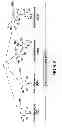 Fig. 08 - Recombinantly expressed insulin polypeptides and uses thereof