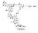 Fig. 22 - Recombinantly expressed insulin polypeptides and uses thereof