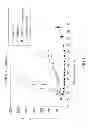 Fig. 06 - Apoptosis promoters