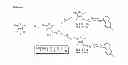 Fig. 02 - Quinolylpiperazino substituted thiolactone compounds and process for the preparation thereof