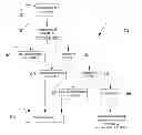 Fig. 01 - Recovery and purification of hydroxy fatty acids from source oils