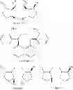 Fig. 09 - Process for the preparation of amino acid derivatives