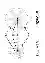 Fig. 02 - SYSTEM, METHOD AND APPARATUS FOR OPTICAL IMAGING OF LUMINAL ORGANS, AND FOR CENTERING WITHIN AND CONTACTING A LUMINAL ORGAN