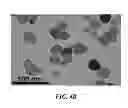 Fig. 07 - Real-Time Biomechanical Dosimetry using Optical Coherence Elastography