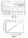 Fig. 08 - Real-Time Biomechanical Dosimetry using Optical Coherence Elastography