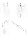 Fig. 27 - Massage device and mounting body
