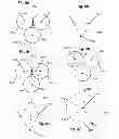 Fig. 09 - Methods and systems for directing movement of a tool in hair transplantation procedures