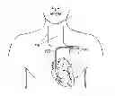 Fig. 01 - Systems and methods for delivering vagal nerve stimulation
