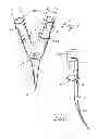 Fig. 07 - Barbed anchors for wire stent