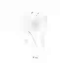 Fig. 09 - Humeral Head Prosthesis