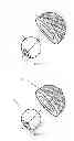 Fig. 02 - Artificial hip joint consisting of multi-layer shell core composite structural components