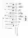 Fig. 07 - Elongated tissue matrices