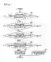 Fig. 06 - VEHICLE MASS ESTIMATING APPARATUS