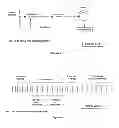 Fig. 45 - SIGNALING AND REMOTE CONTROL TRAIN OPERATION