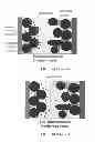 Fig. 02 - Surface-mediated cell-powered vehicles and methods of operating same