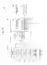 Fig. 09 - OPERATING DEVICE FOR VEHICLE