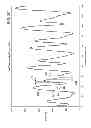 Fig. 05 - Adaptive step detection