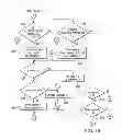 Fig. 07 - Adaptive step detection