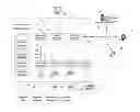 Fig. 01 - System and method for detecting a possible error in a customer provided product order quantity