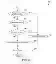 Fig. 06 - Dynamic partial uncompression of a database table
