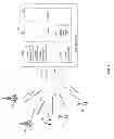 Fig. 02 - METHOD AND SYSTEM FOR DYNAMICALLY PROGRAMMABLE SERIAL/PARALLEL BUS INTERFACE