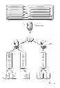 Fig. 01 - Load Control of Demand Response Network Devices