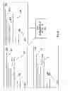 Fig. 06 - Systems and methods for detecting and managing recurring electronic communications