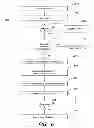 Fig. 07 - Systems and methods for universal enhanced log-in, identity document verification and dedicated survey participation