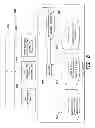 Fig. 09 - Systems and methods for universal enhanced log-in, identity document verification and dedicated survey participation