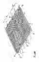Fig. 02 - ELASTIC LEATHER CLOTHING