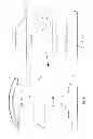 Fig. 06 - Universal pillow