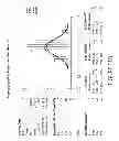 Fig. 10 - Toothbrush having improved tuft retention and anchor wire