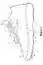 Fig. 03 - Article Of Footwear With Layered Fit System