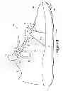 Fig. 19 - Article Of Footwear With Layered Fit System