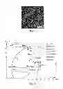Fig. 06 - Apparatus for flexographic printing process with wet on wet capability