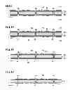 Fig. 07 - Wiring board and method for manufacturing wiring board