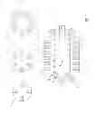 Fig. 02 - BIOMASS REACTOR