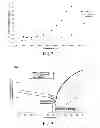 Fig. 03 - Cellulose ethers and their use