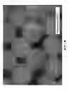 Fig. 06 - Composition and Process for Preparing NIR Shielding Masterbatch and NIR Shielding Masterbatch and Application Thereof