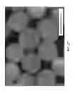 Fig. 07 - Composition and Process for Preparing NIR Shielding Masterbatch and NIR Shielding Masterbatch and Application Thereof