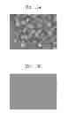 Fig. 16 - ORGANIC ELECTROLUMINESCENT DEVICES AND METHODS FOR FABRICATING THE SAME