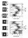 Fig. 08 - Microscopy method and system incorporating nanofeatures