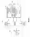 Fig. 08 - System and method for determining location of a device using opposing cameras