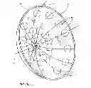 Fig. 07 - System and related method for determining vehicle wheel alignment