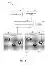 Fig. 09 - Image blur detection