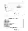 Fig. 06 - Diagnostic, prescriptive, and data-gathering system and method for macular pigment deficits and other eye disorders