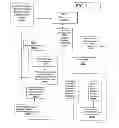 Fig. 08 - Diagnostic, prescriptive, and data-gathering system and method for macular pigment deficits and other eye disorders