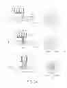 Fig. 07 - Developing method