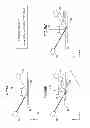Fig. 80 - Optical sensor and image forming apparatus