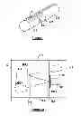Fig. 02 - OPTICAL PROBE FOR MEASURING ABSORPTION AT A PLURALITY OF WAVELENGTHS